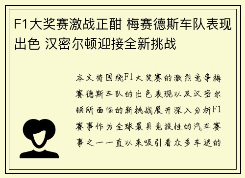 F1大奖赛激战正酣 梅赛德斯车队表现出色 汉密尔顿迎接全新挑战